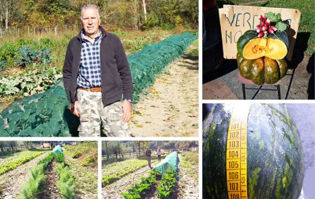 pensionato coltivatore migiandone mix