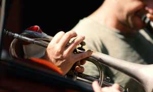 pexels kendall hoopes 2261954