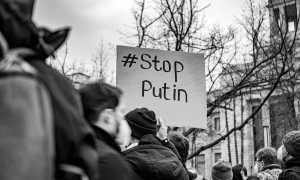 pexels photo 11284550