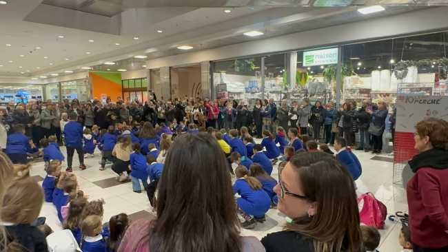 photo 2024 11 12 09 45 31