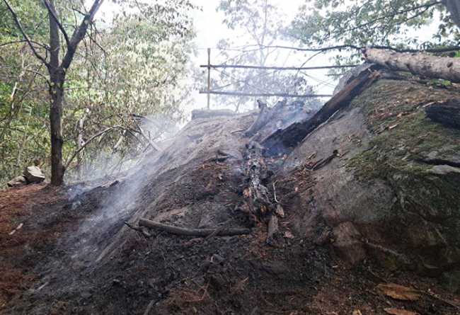 photo 2025 08 27 09.38.08