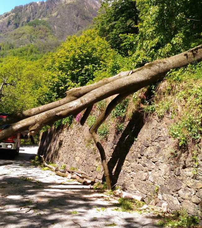 pianta bognanco strada 2