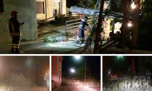 pianta caduta bognanco apr 19