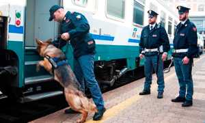 polizia cinofila cane treno
