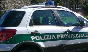 polizia provinciale1