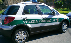 polizia provinciale auto