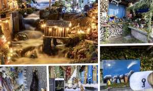 presepi acqua crodo 2019 mix