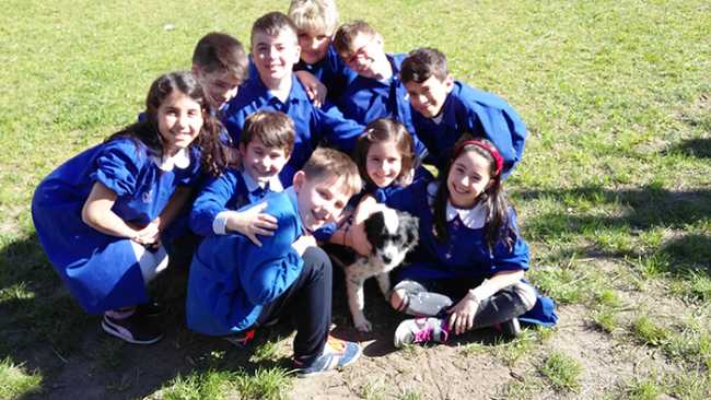 progetto baulismo bambini cane