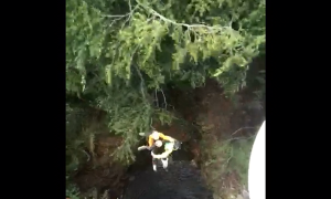 recupero forra soccorso