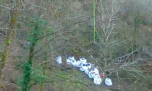 rifiuti bosco mocogna