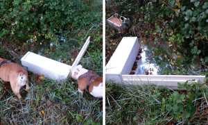 rifiuti discarica villa