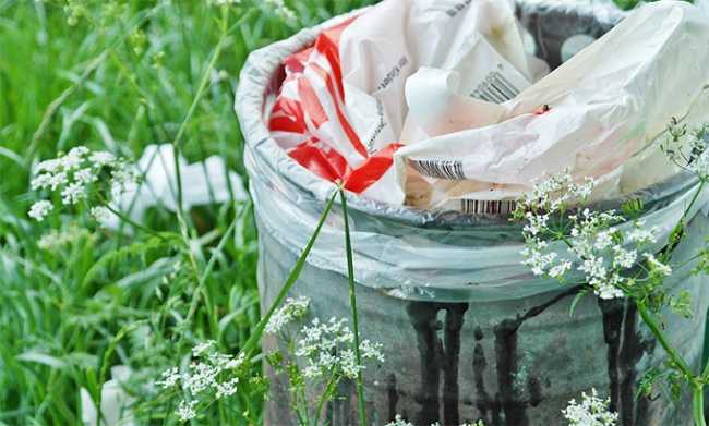 rifiuti prato bidone