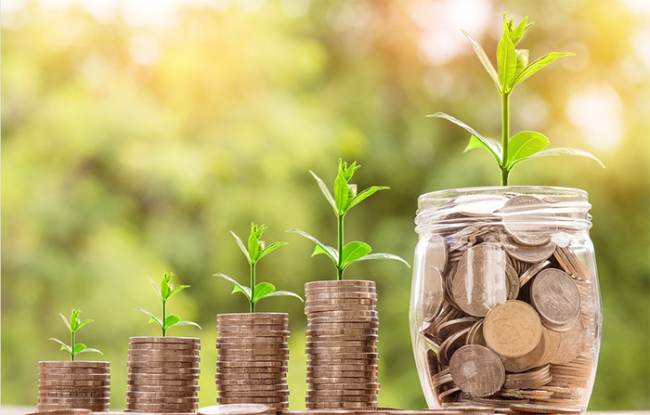 risparmio piabte soldi