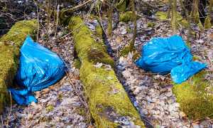 sacchetti riufiti natura