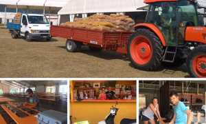 sagra patata monte 18 preparativi mix