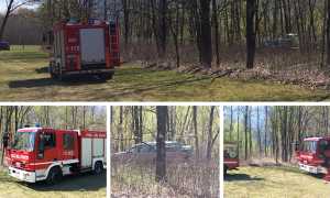 salma toce mix vigili