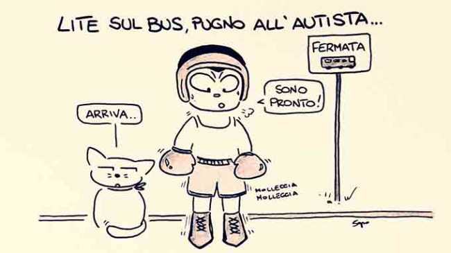 sapo autista