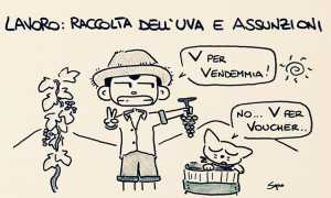 sapo vendemmia