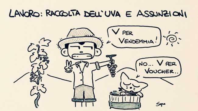 sapo vendemmia