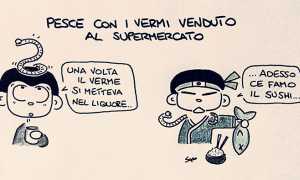 sapo vermi sushi