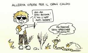 sapo vipere