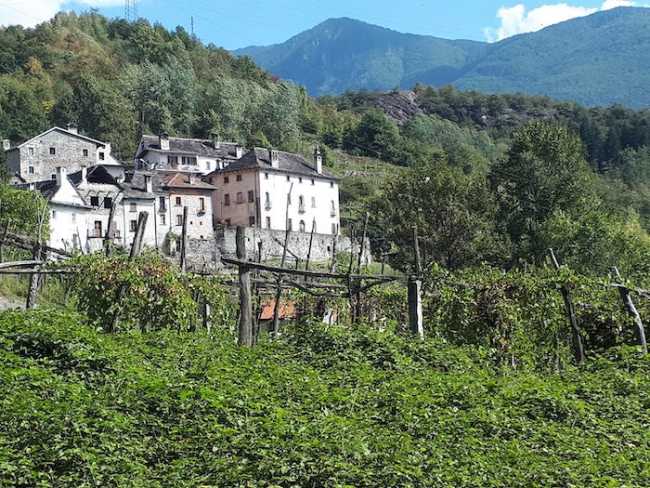 scorcio montecrestese