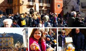 scova ova vigezzo 18 mix