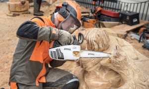 scultori del legno ph susy mezzanotte
