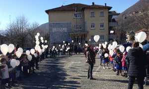 scuole preglia