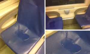 sedili bagnati treno