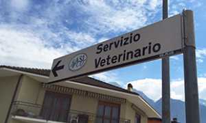 servizio veterinario