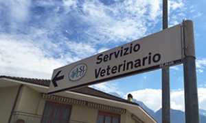 servizio veterinario