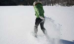 snowshoe 1096680 640