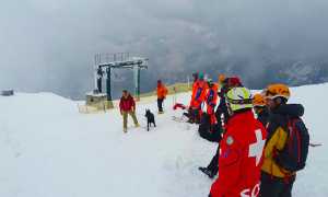soccorso domobianca cane