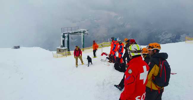 soccorso domobianca cane
