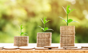 soldi monete piantine