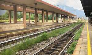 stazione binari erbacce