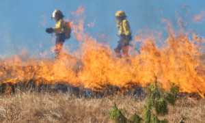 sterpaglie incendio vigili