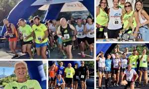 stramasera 22 pianta mix