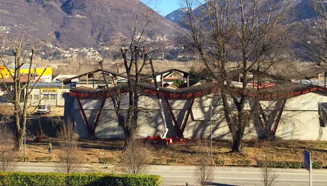 taglio piante briganti