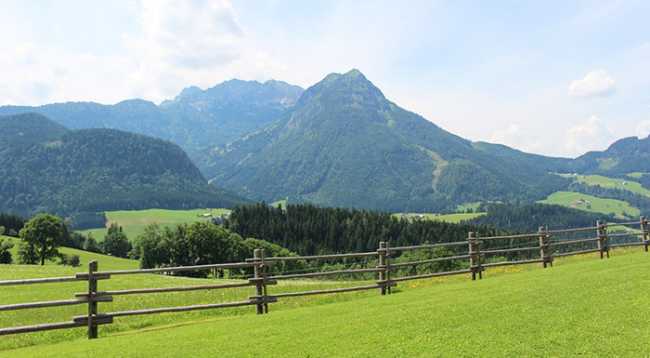 terreno prato recinto montagna