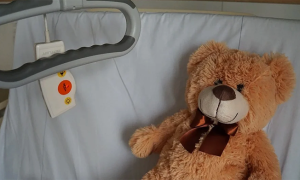 tetty orso letto ospedale