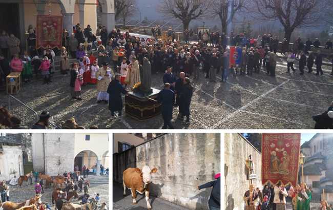 toceno benedizione animali