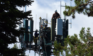 traliccio telfoni uomini alberi