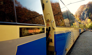 treno vigezzina servizio vagoni