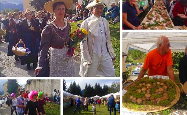 trontano sagra fungo mix 17