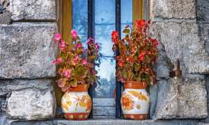 vase 2899397 960 720