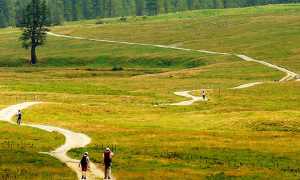 veglia prato sentiero