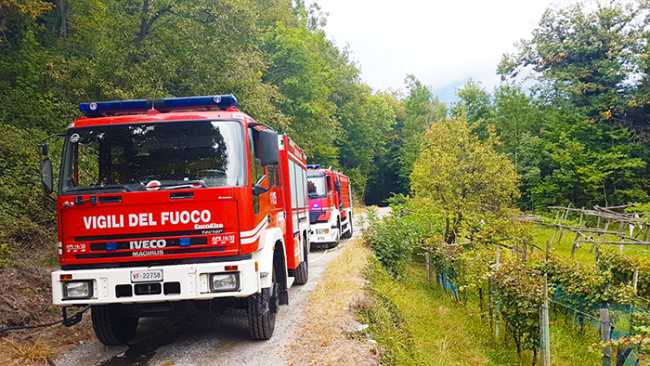 vigili fuoco camion bosco