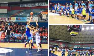 vinavil cipir montecatini mix